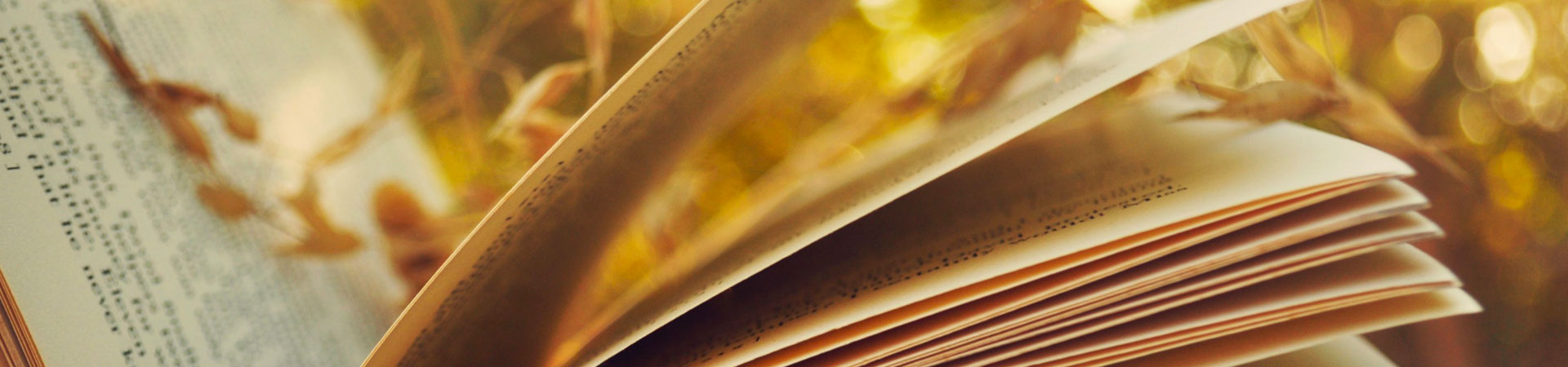 Livre d'or