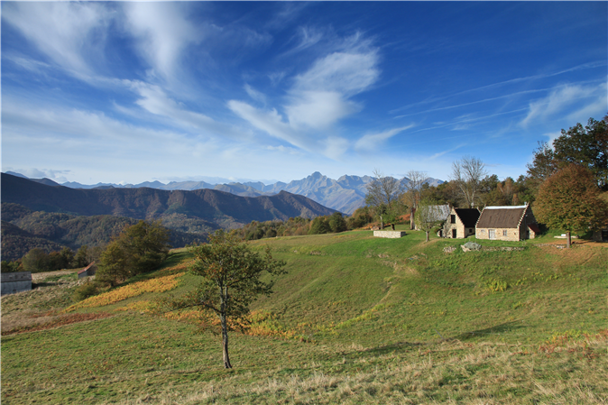 Les alentours de la maison